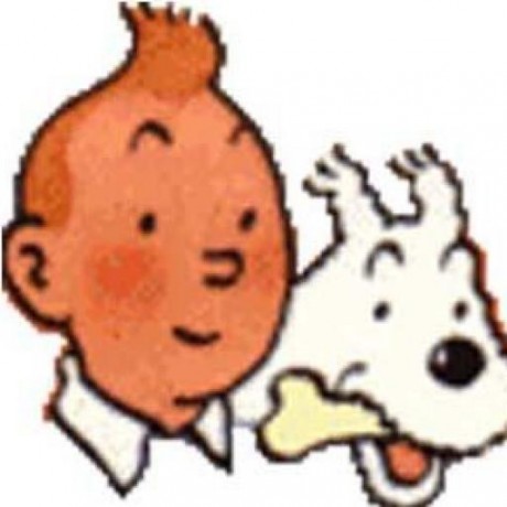My avatar: tin-tin and his dog snowy